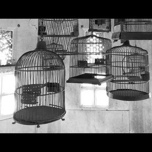 Meet your Posher, Guillaume